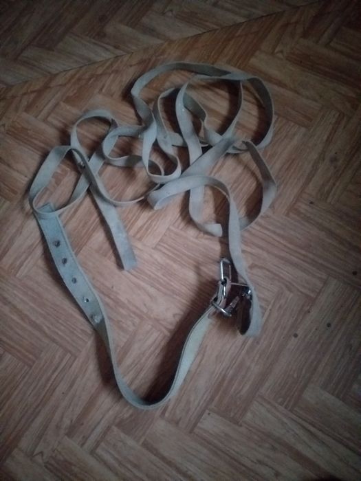 Поводок для собаки