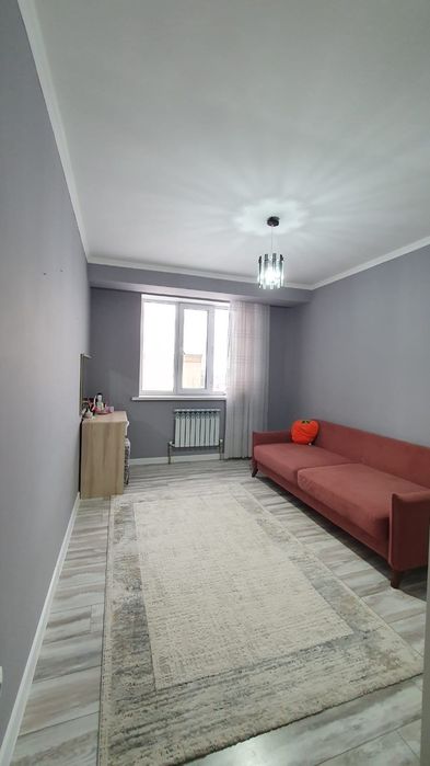 Передержка кошек.