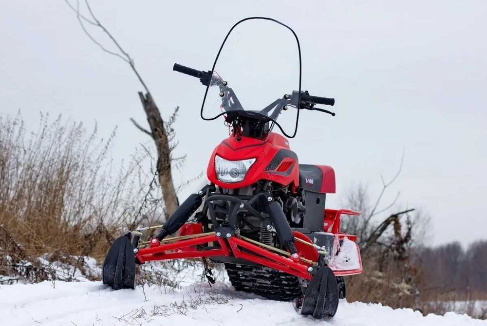 Снегоход Irbis Dingo T150