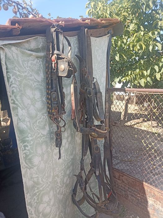 Vând ham din piele și căpățel cu muștuc