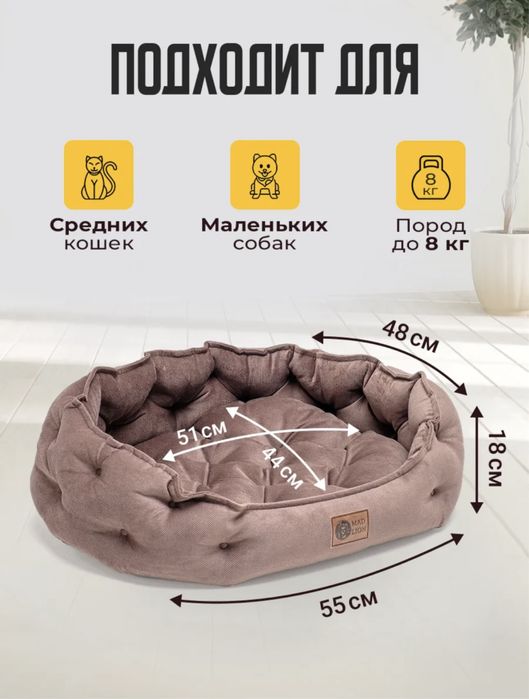 Отдам кота бомбея