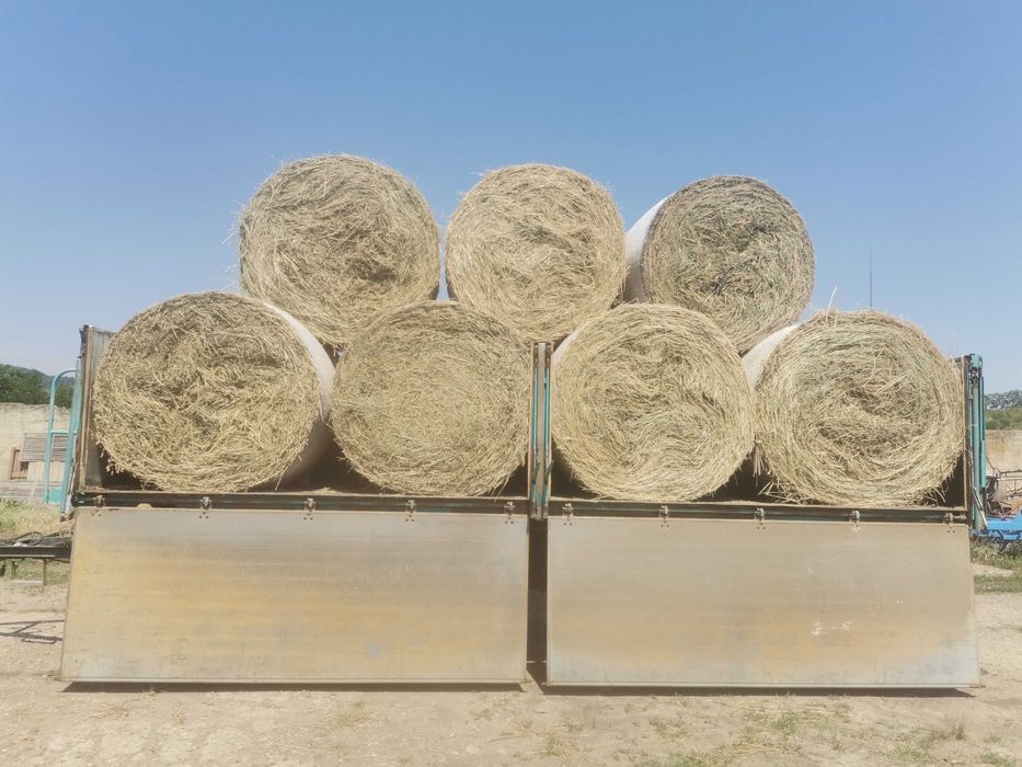 Baloti lucerna 160x120