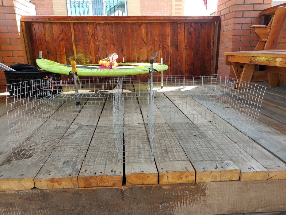 Клетки для шиншилл