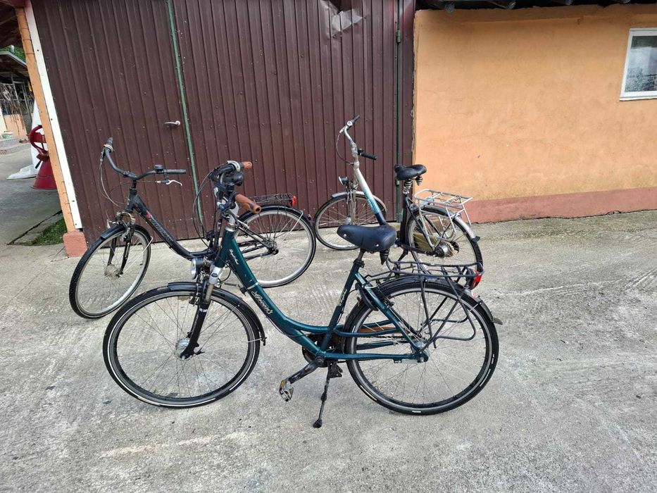 Biciclete de dama