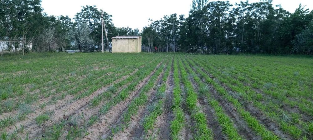 Yer sotiladi do'koni bilan