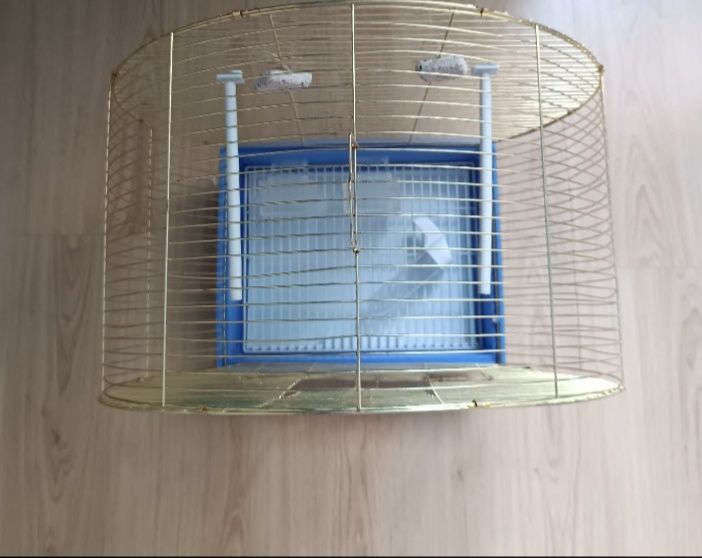 Клетка для канарейки