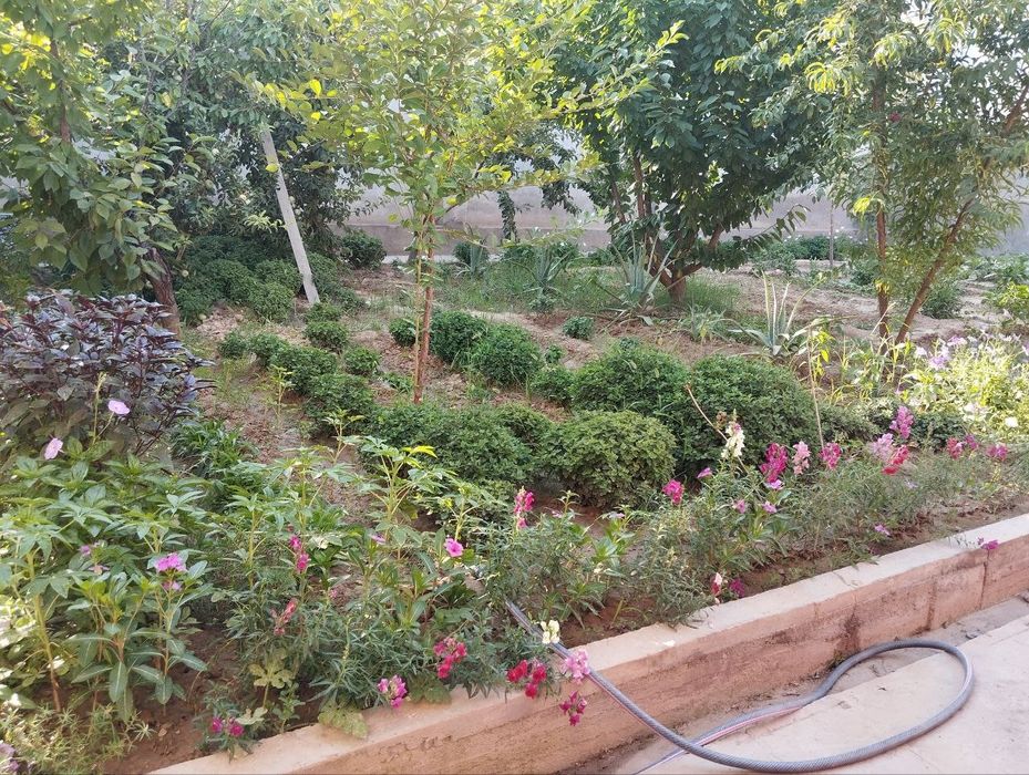 Uchastk pobeda 5,5 sotik