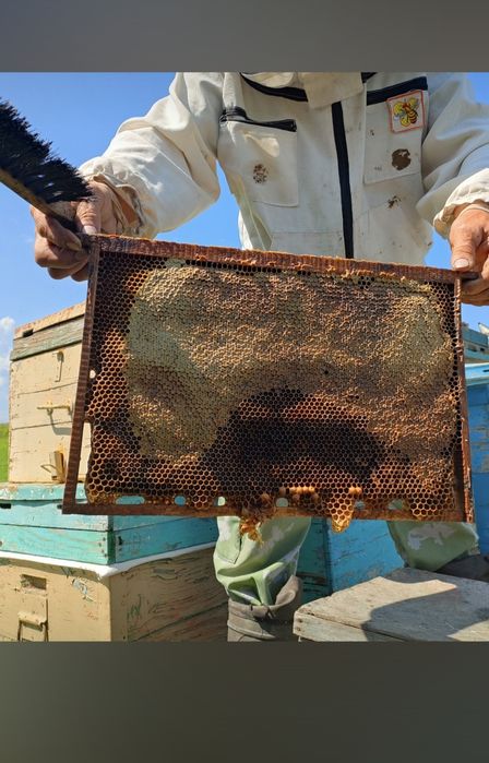 Продам натуральный мёд