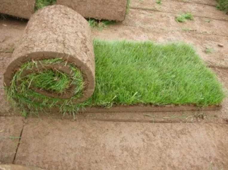 Gazon Rulou sisteme de Irigare