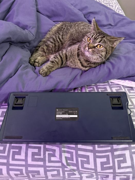 Клавиатура механическая