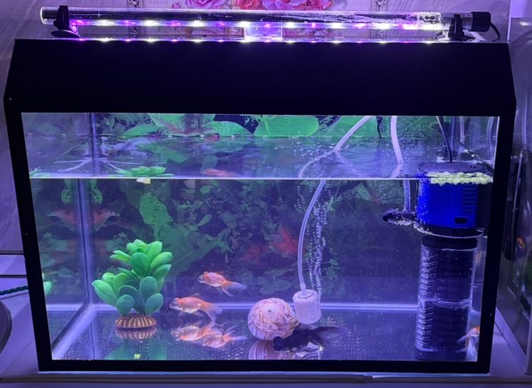 Продам аквариум 80лт.