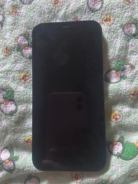 iPhone 12 Pro max