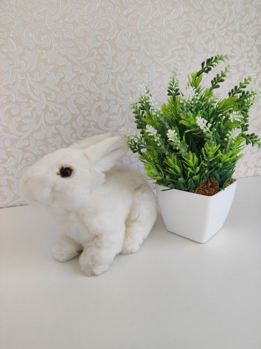 Продам пакет игрушек для девочек мягкие игрушки.