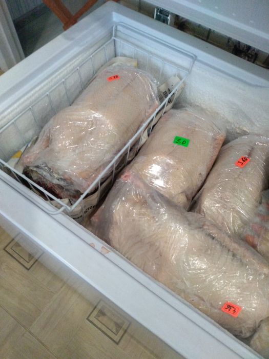 Молодые гуси оптом и в розницу