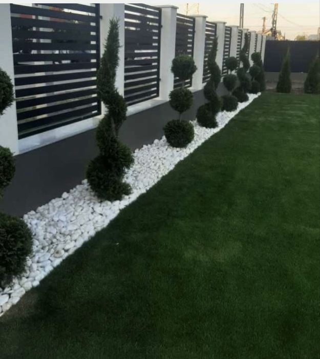 Gazon Rulou- Inalta calitate