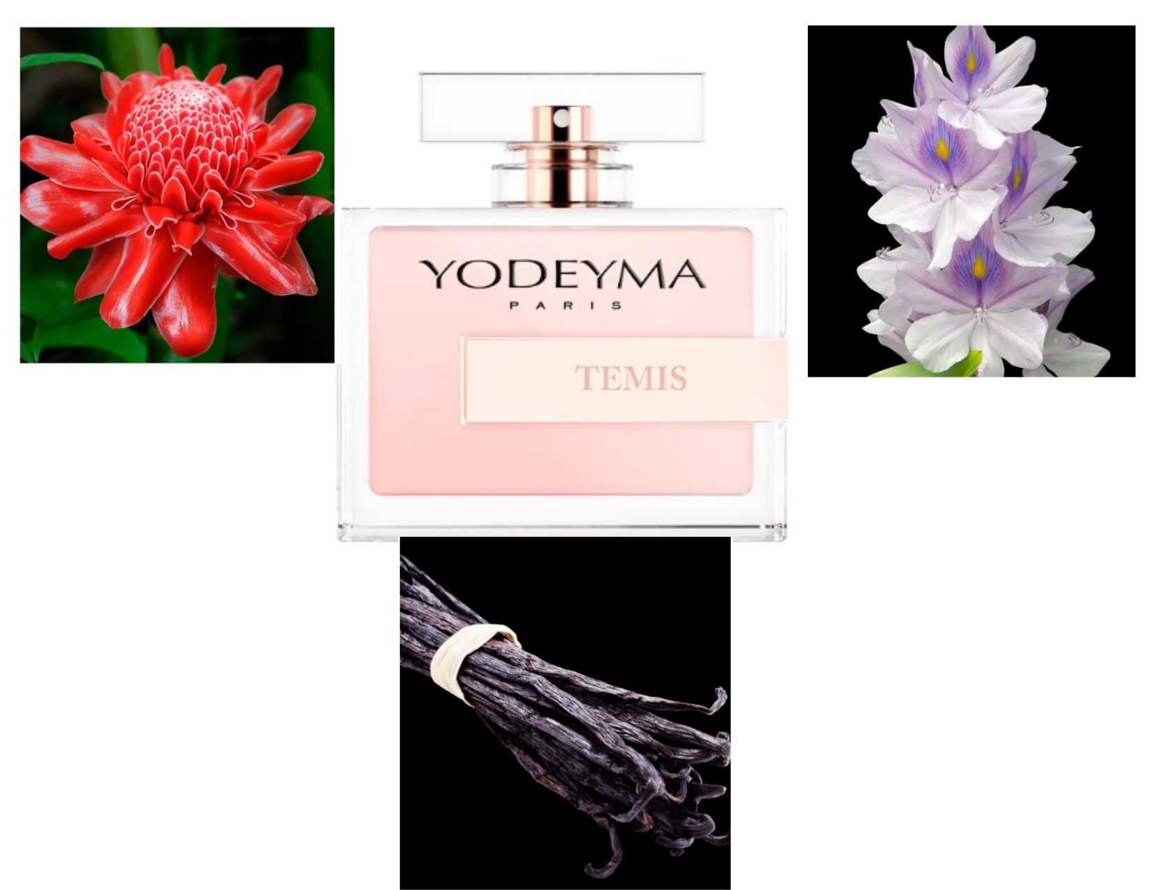 Yodeyma olympea discount