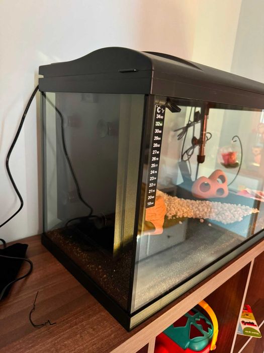 Setup acvariu 50L cu filtru si toate necesare inafara de plante, nefolosit