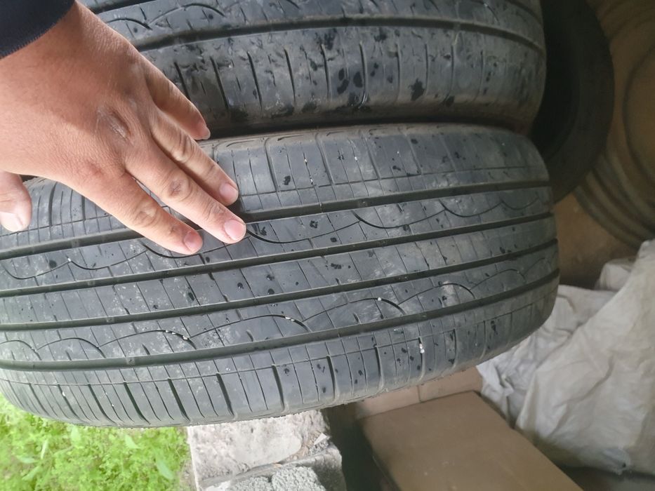 Шины летный, жаздық