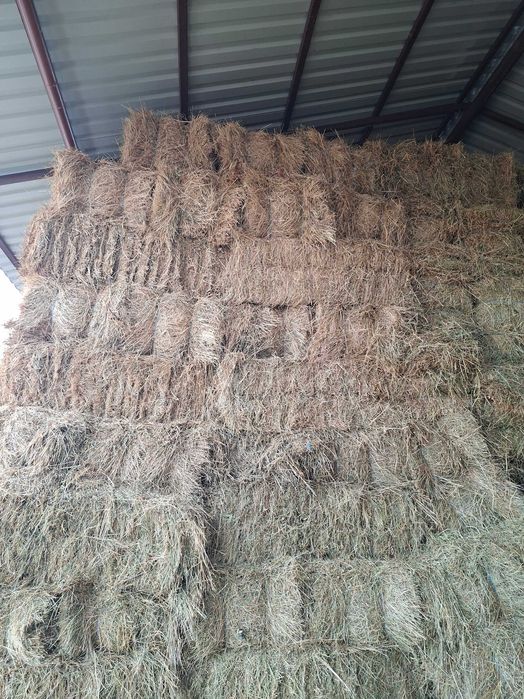 Vând baloți de fân.