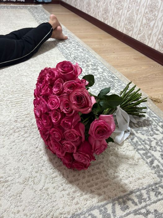 51роза розывый  жаксы