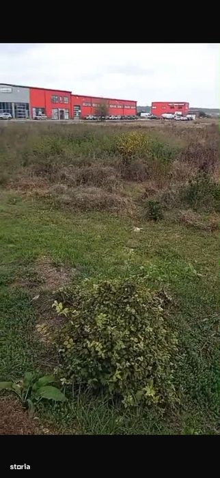 Teren intravilan de vanzare, Calea Lugojului