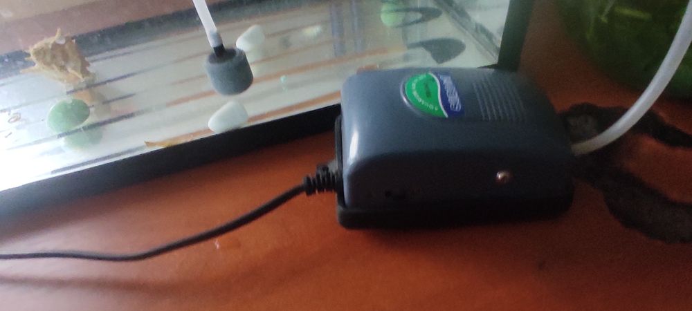 Продается аквариум с рыбками и пренадлежностями