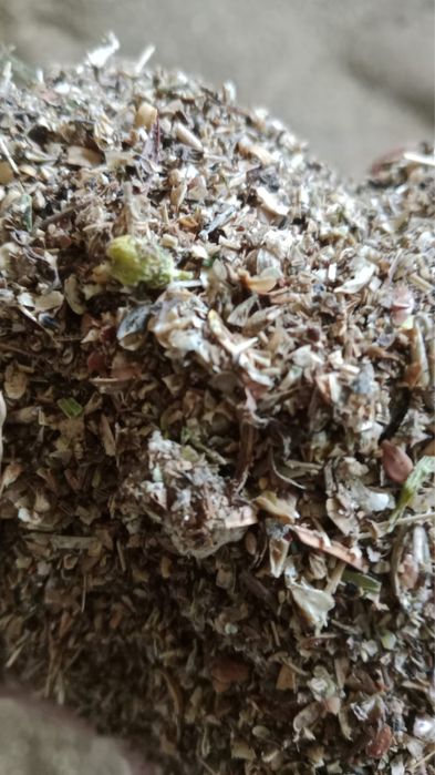 Продам отход льна для корма