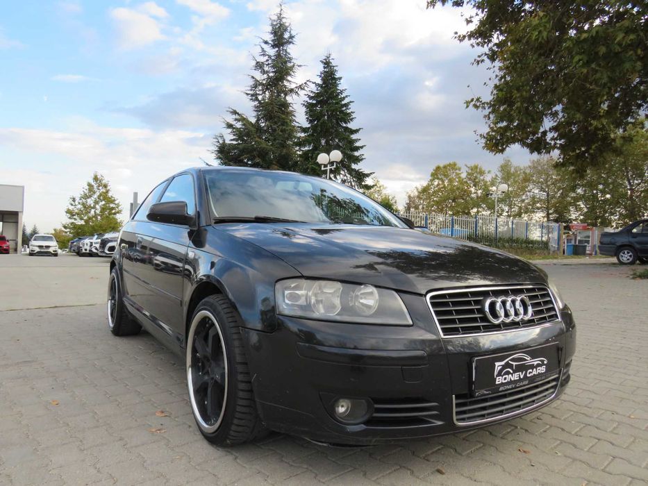 Audi A3 8P 1.9Tdi 105k.c