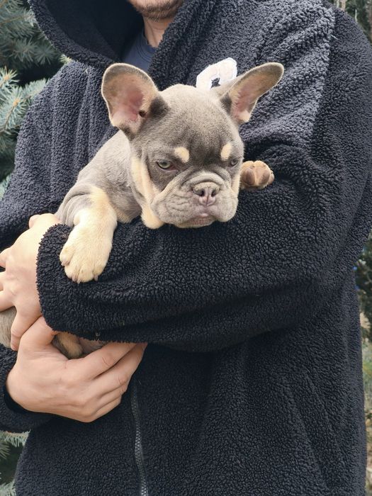 Шикарная девочка