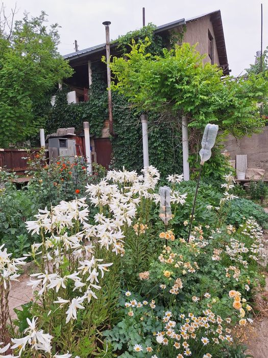 Турарские дачи!Продаю