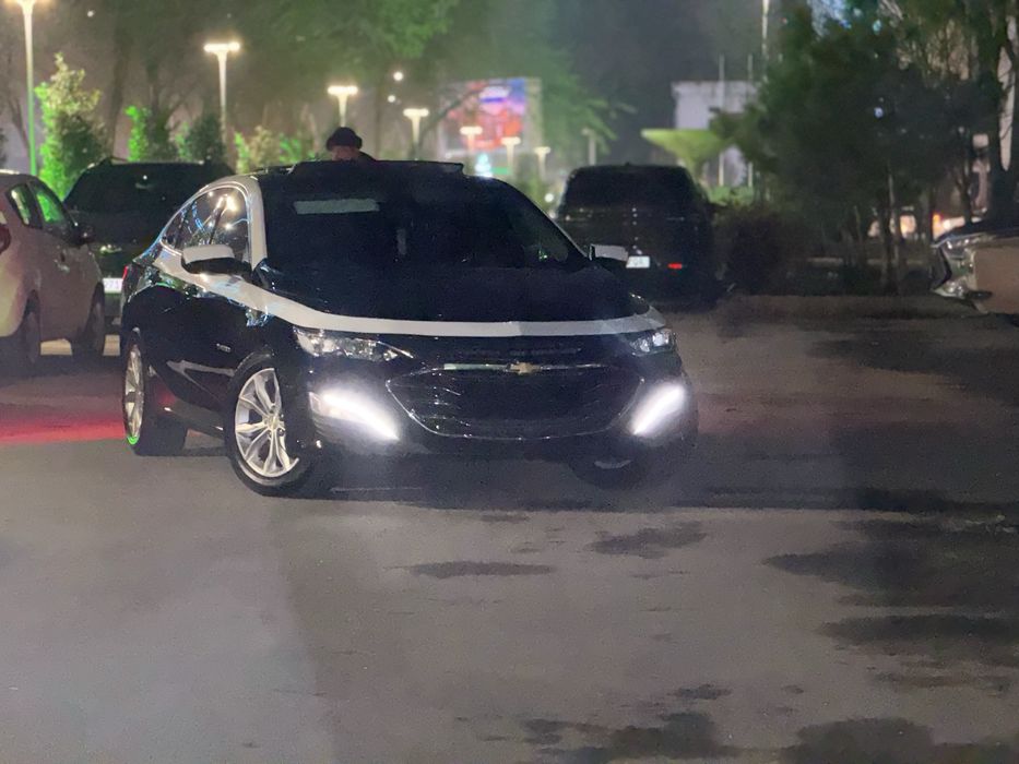 Malibu 2 premer 2022 kraska tozza masla