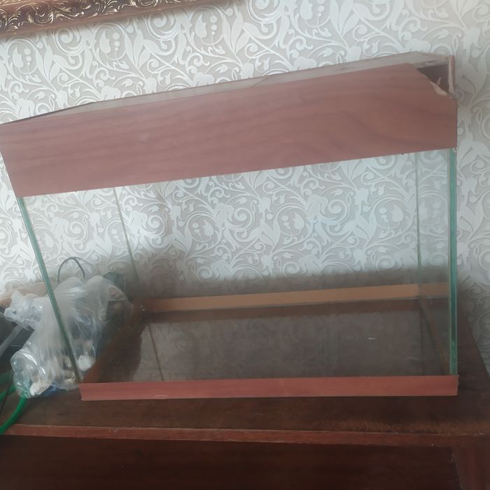 Аквариум небольшой