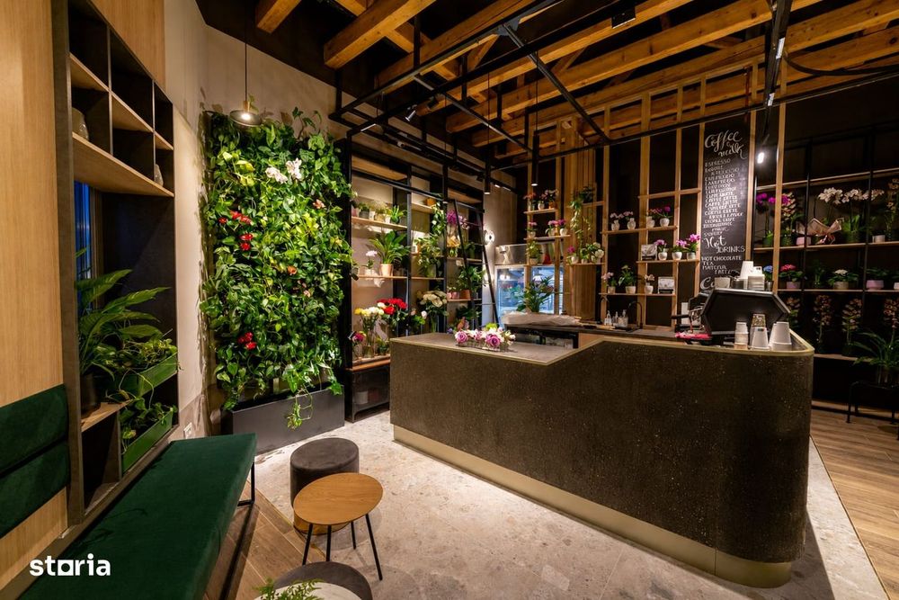Cafenea Complet Echipată – Gata De Preluare | Constanța