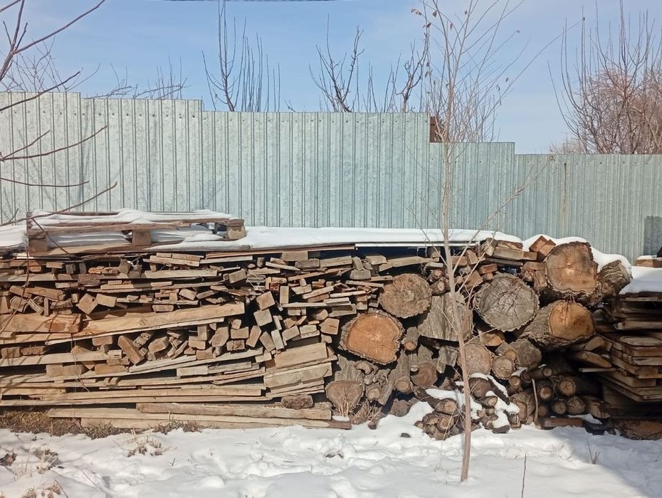 Дрова 7 куб Отын