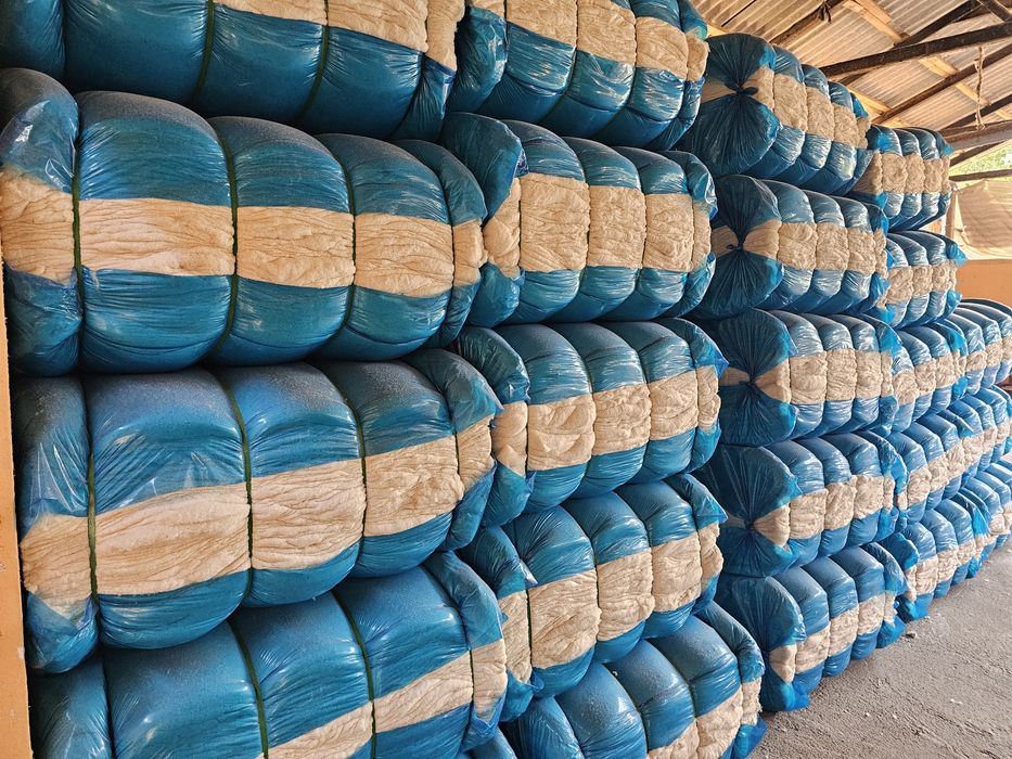 Paxta Toy Oppoq Va yumshoq Yengi paxtalar