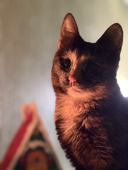 Только ответственным