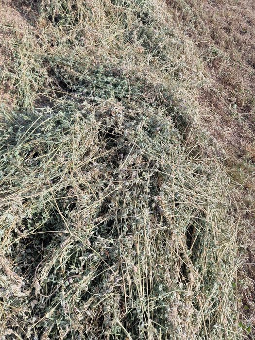 Baloti de lucerna pentru cai