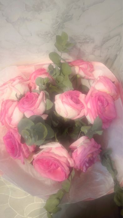 Цветы очень красивые