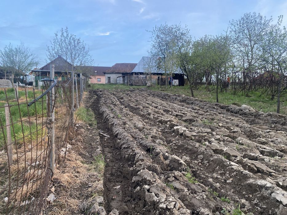 Vand Casa Ariesu de Padure