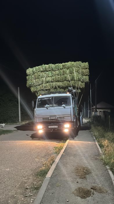 Жоңышқа сатылады  750тг
