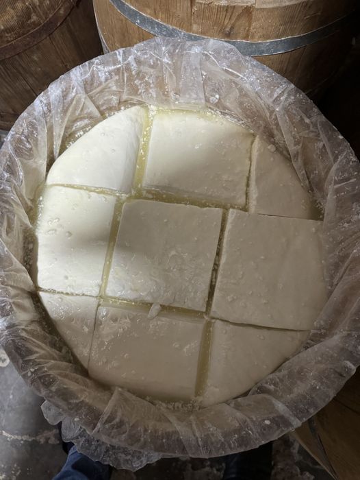Vând brânză de oaie telemea 100%