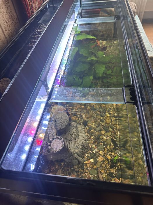 Аквариум 300 литров