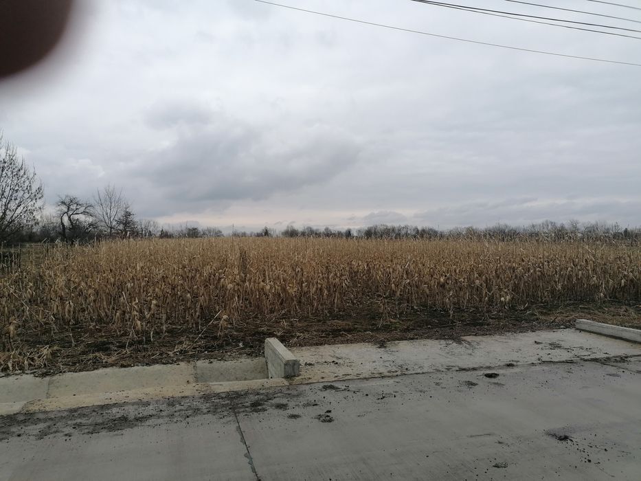 Teren intravilan Fratautii Noi