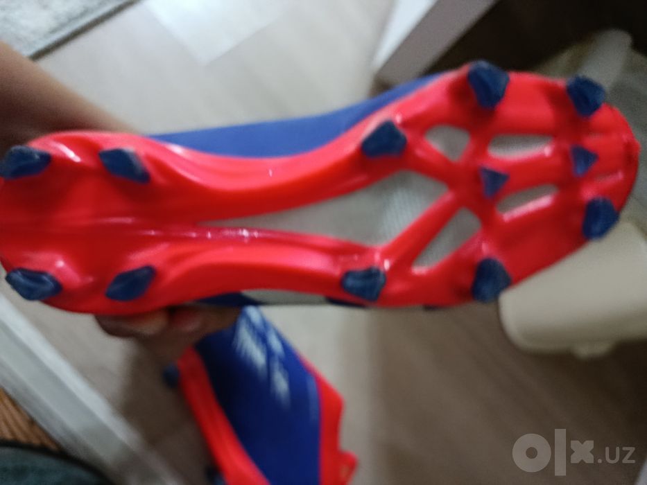 Butsi predator. 37 razmer