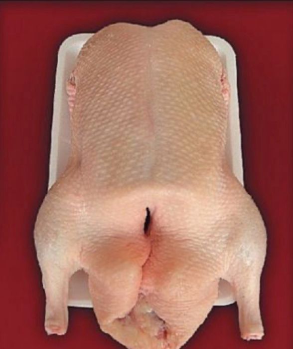 Пролам мясо домашней птицы
