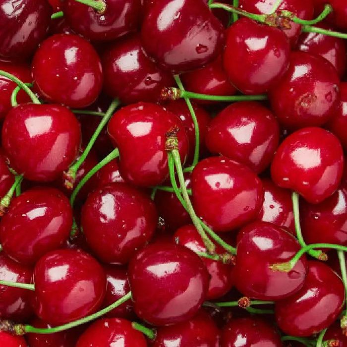 Pomi fructiferi și arbuști