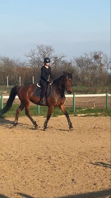 iapa de sport de vânzare