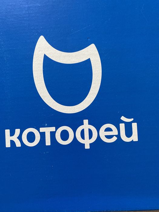 Валенки детские Котофей