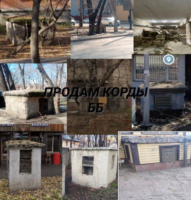 Бомбо убижещя кординаты