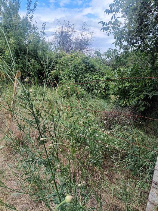 Продава се Парцел в Разград, Промишлена зона - Запад - 811 кв.м за 19 €/кв.м - Снимка #3